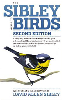 winter birding series 5 common woodpeckers winter birding series 5 common woodpeckers